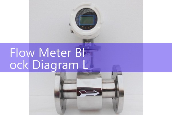 Flow Meter Block Diagram Layout: Internal Architecture of Digital Signal Converters